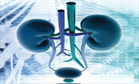 urologia